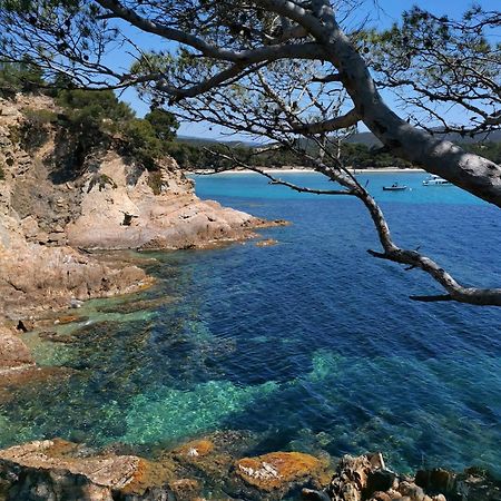 Studio A Hyeres Port - Proche De Toutes Commodites Exterior photo