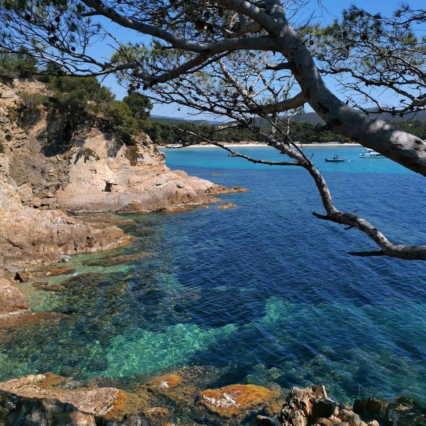 Studio A Hyeres Port - Proche De Toutes Commodites Exterior photo